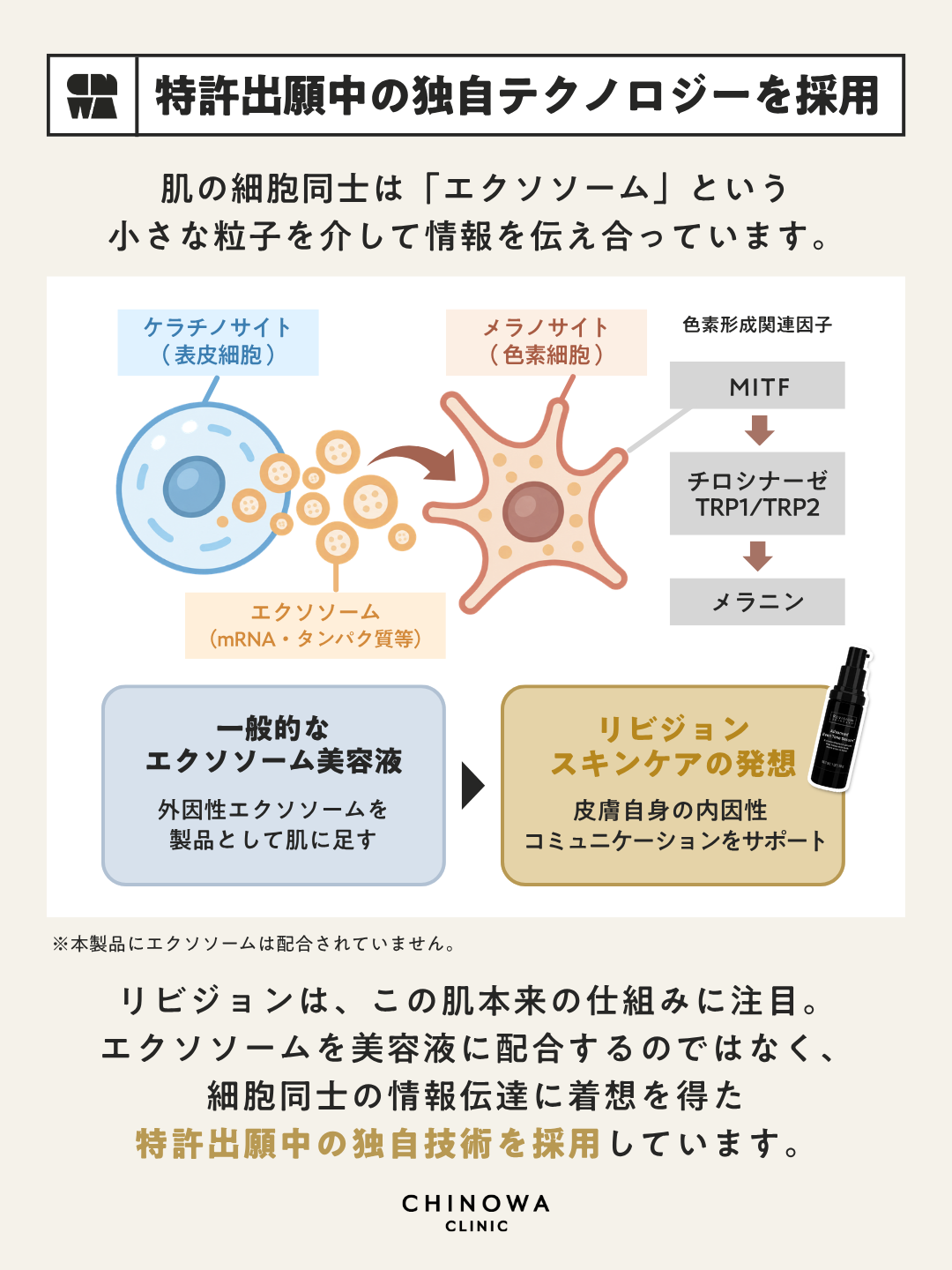 リビジョンスキンケア アドバンスド イーブントーン セラム