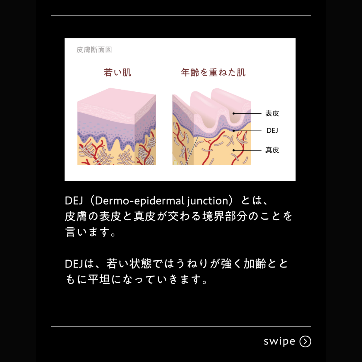 リビジョンスキンケア DEJナイトフェイスクリーム