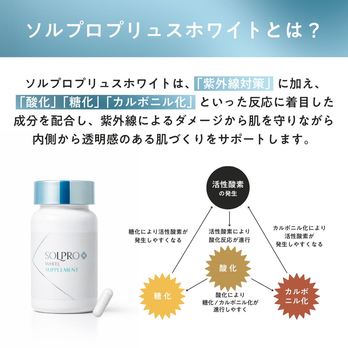 【10%OFF】ソルプロプリュスホワイトサプリメント3個セット(SOLPRO PLUS WHITE)