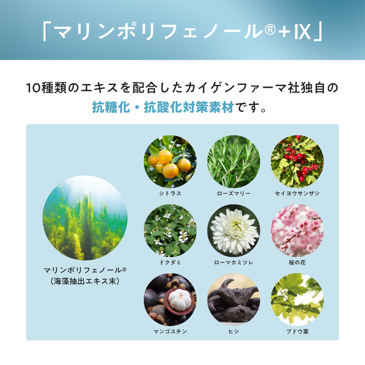 【10%OFF】ソルプロプリュスホワイトサプリメント3個セット(SOLPRO PLUS WHITE)