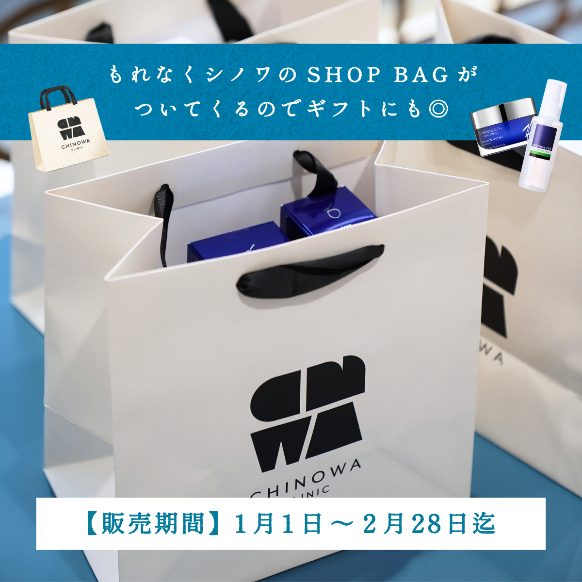 HOSKIN BAG ホスキンバックC【クリア】