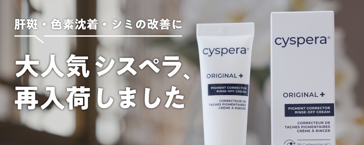 シスペラ再入荷
