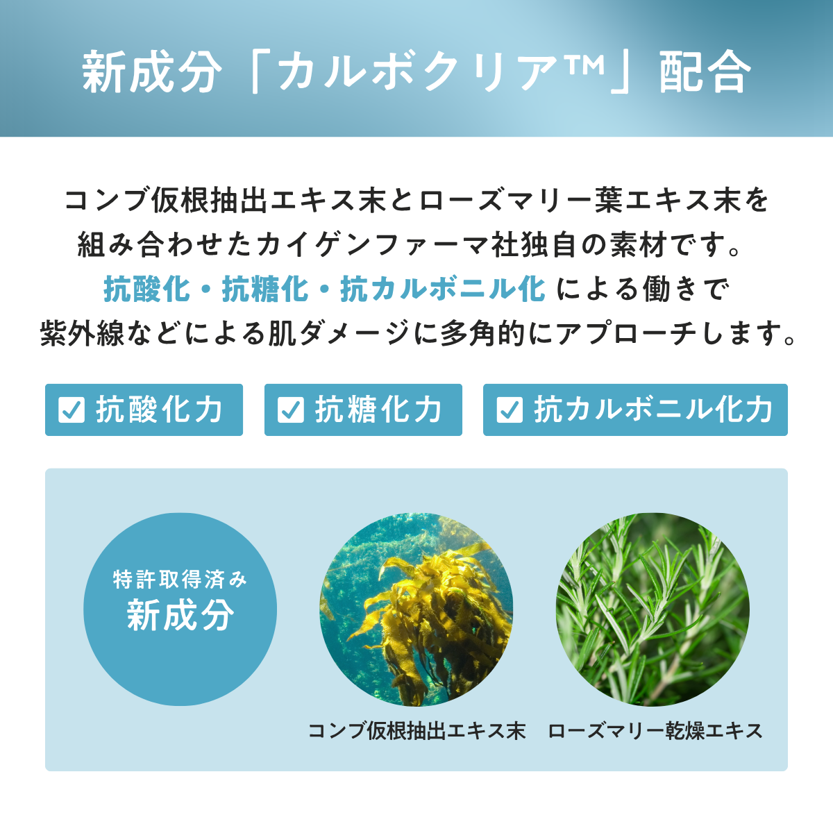 【10％OFF】ソルプロプリュスホワイトサプリメント３個セット（SOLPRO PLUS WHITE）