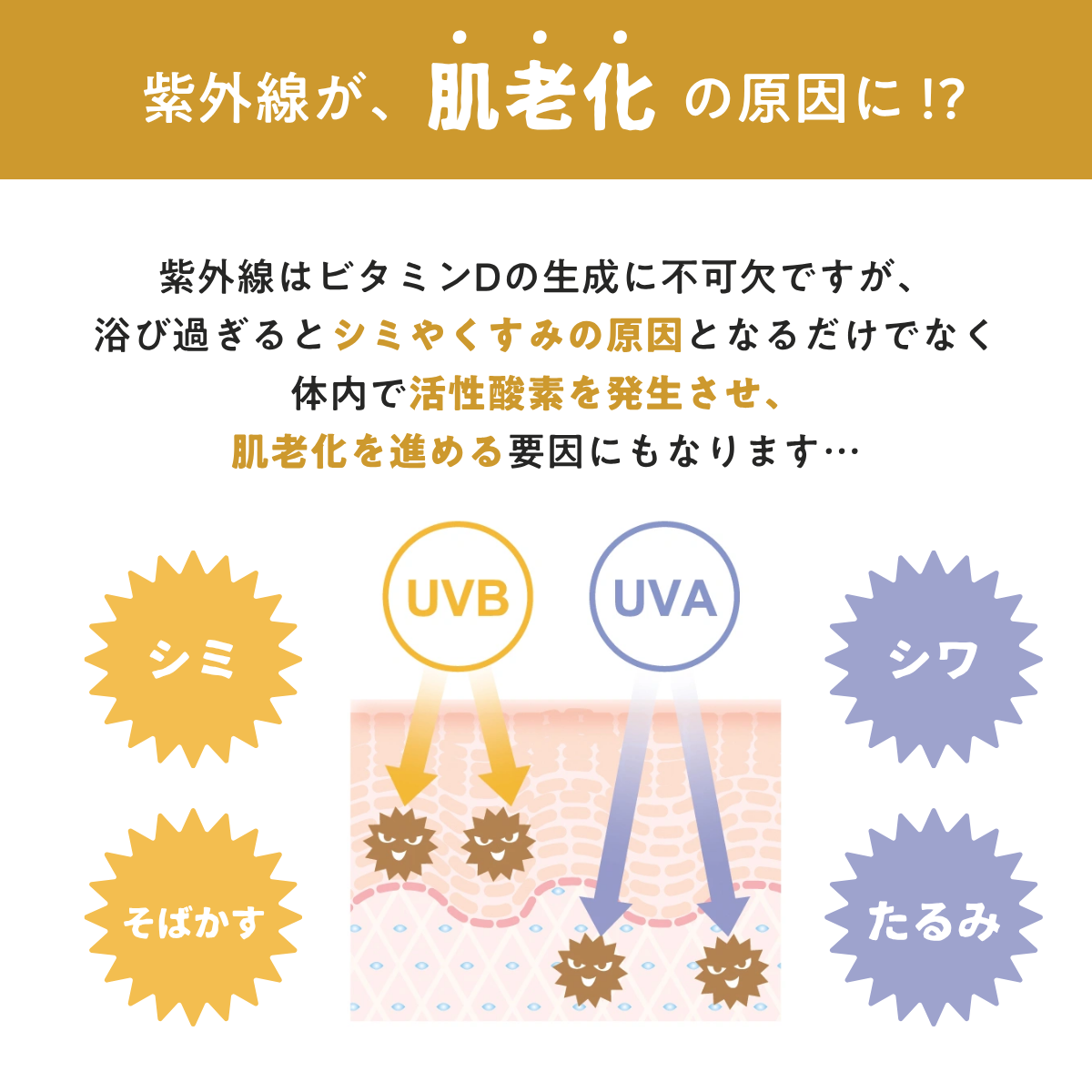 【10％OFF】ソルプロプリュスホワイトサプリメント３個セット（SOLPRO PLUS WHITE）